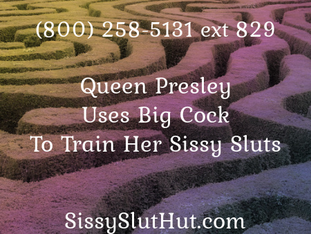 BBC Sissy Trainer